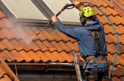 Démoussage et hydrofuge de toiture à Sainte-Croix-en-Plaine
